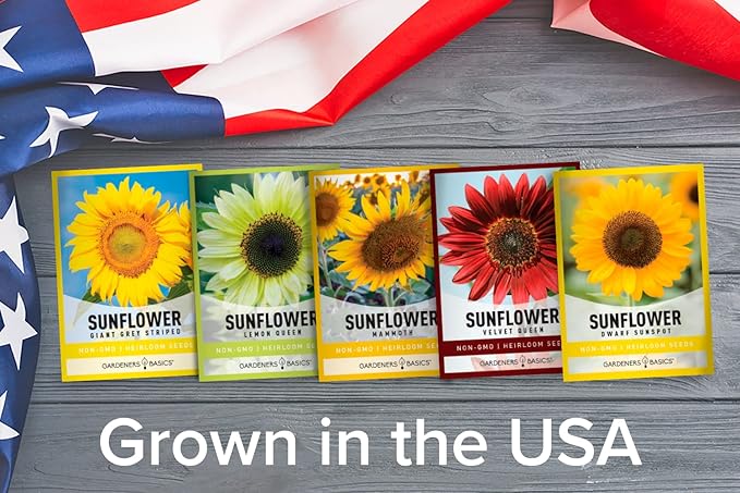 Gardeners Basics, Sunflower Seeds for Planting Flowers (5 Pack Mix) - Velvet Queen, Dwarf Sunspot, Lemon Queen, Giant and Mammoth Bulk Mix of Regular Sunflower Seeds for Outdoor Flower Garden