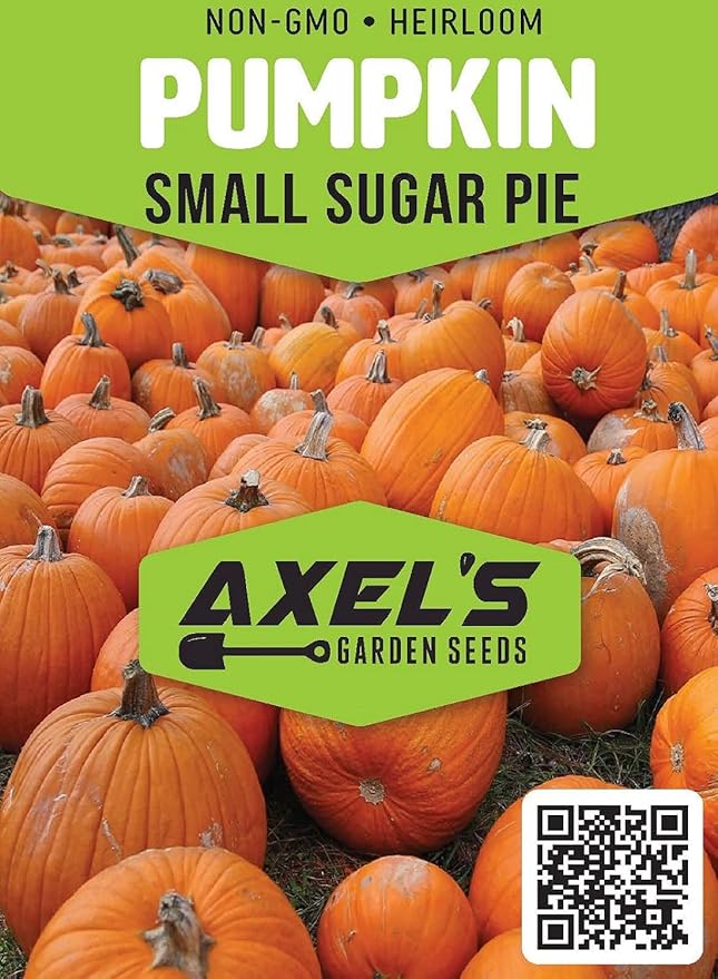 Small Sugar Pumpkin Seeds for Planting - Non-GMO Heirloom Packet with Instructions to Plant a Home Vegetable Garden - Great Gardening Gift - 25 Seeds Per Pack (3 Packets)