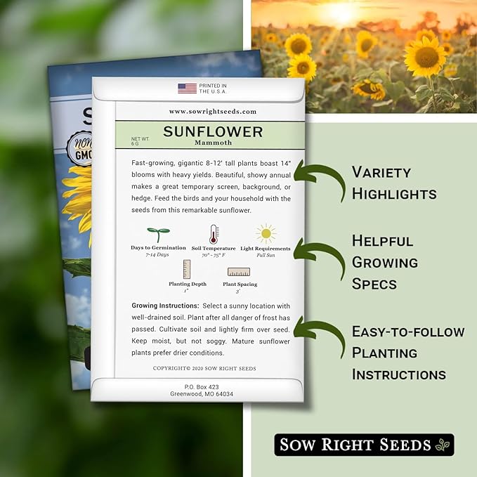 Sow Right Seeds - Mammoth Sunflower Seeds to Plant - Grow Giant Sunflowers in Your Garden - Non-GMO Heirloom Seeds for Planting an Outdoor Garden - Bright Yellow Blooms - Attract Bees and Birds (1)