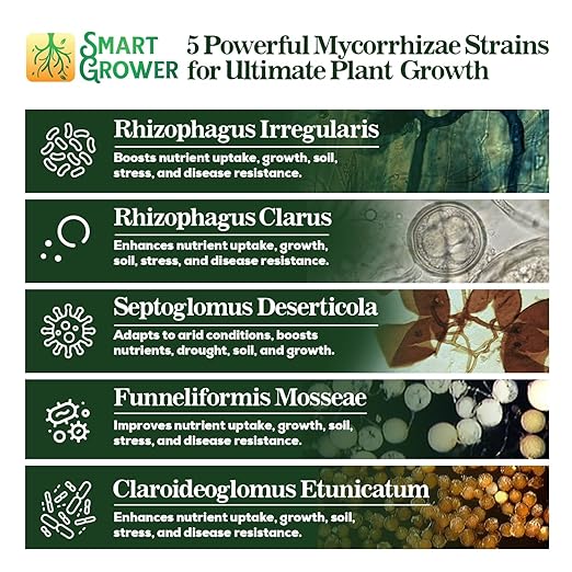 Mycorrhizal Fungi Organic Root Enhancer for Plants, Super Potent 100 Spores Per Gram, 5-Strain Blend, Rapid Results for Gardens, Houseplants, Lawns, Smart Grower 250 Grams (2 Pack of 125G)