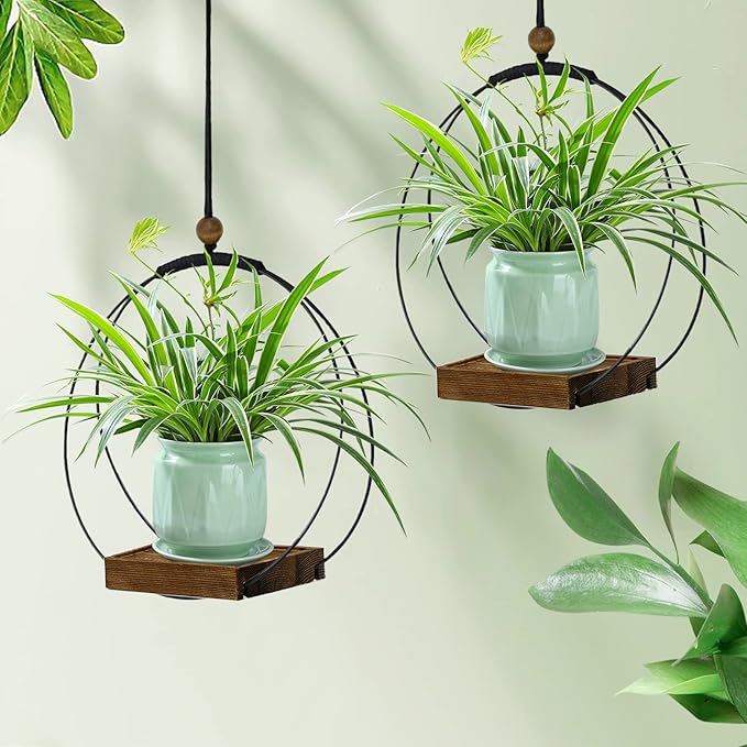 2 Pack Hanging Planters for Indoor Plants, Black Plant Hanger with Sturdy Wood Base, Modern Boho Macrame Hanger, Wall Ceiling Window Planters (Plants/Pots Not Included)