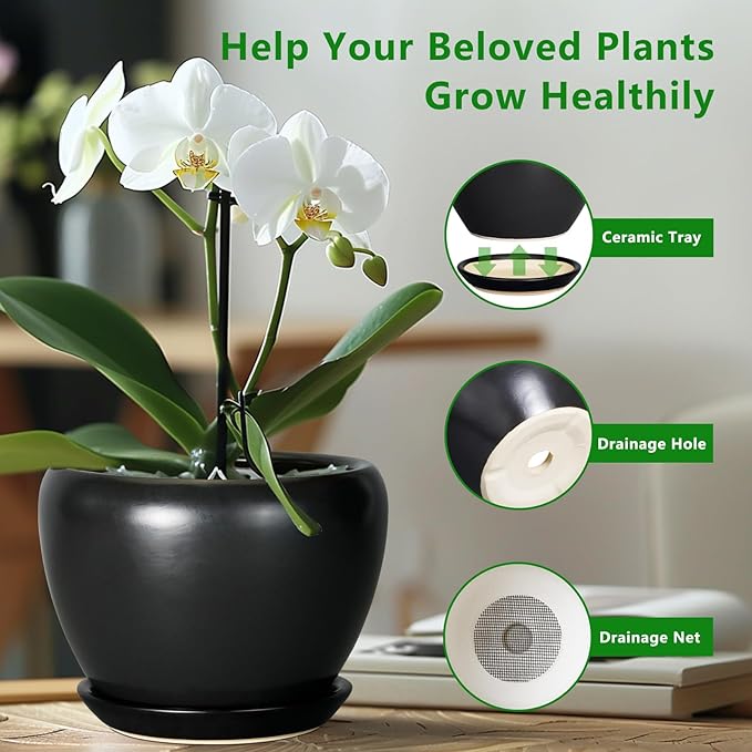 Ceramic Planter Pot - 8 Inch Plant Pot with Drainage Hole and Saucer Round Planter for Indoor Plants Modern Outdoor Flower Pot for House Balcony Black