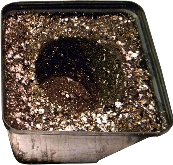 SunGro SUGRBG2 Black Gold Natural & Organic Potting Soil Bag Plus Fertilizer, 2 Cubic Feet (3 Pack)