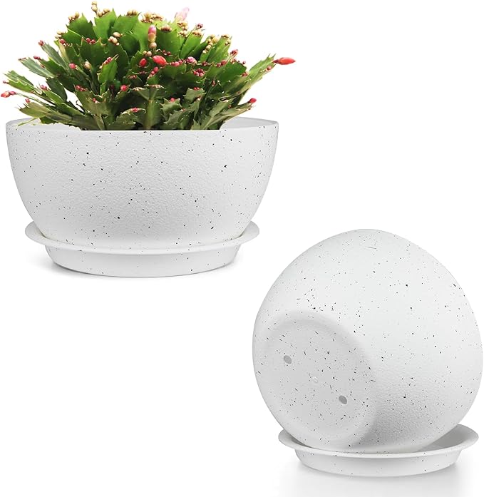 12 inch Plant Pots Pack of 2, Plastic Planter with Drainage Holes and Saucers, Plant pots for Indoor Outdoor Use, Flower Pots for All House Plants (Speckled White)