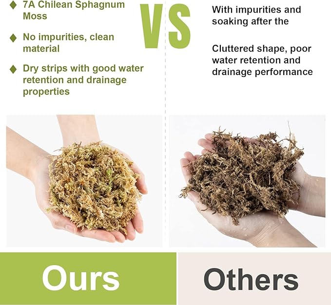 Sukh 4oz Sphagnum Moss for Plants - Sphagnum Peat Moss Natural Dried Long Fibered for Orchids Succulent Carnivorous Potted Plant Reptiles Medium Sarracenia DIY Terrarium Decorations
