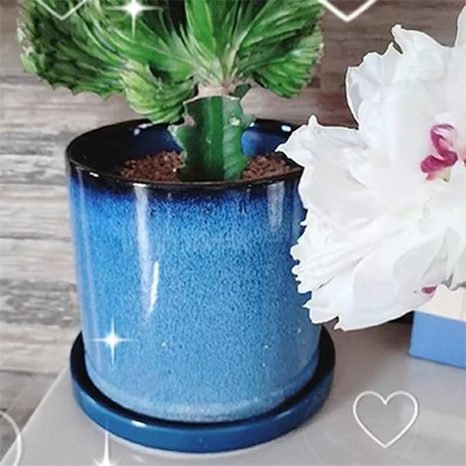 Ceramic Flower Pot Saucers, 9 Inch Plant Pot Saucers for Indoors Plants, Plant Trays for Pots Holding Water Drips and Soil, Drainage Tray for Plant Pot (Blue)