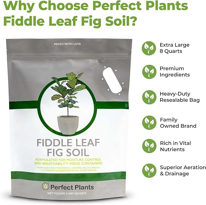 Fiddle Leaf Fig Soil by Perfect Plants 8QTS, Premium Professional Blend for All Fiddle Leaf Figs