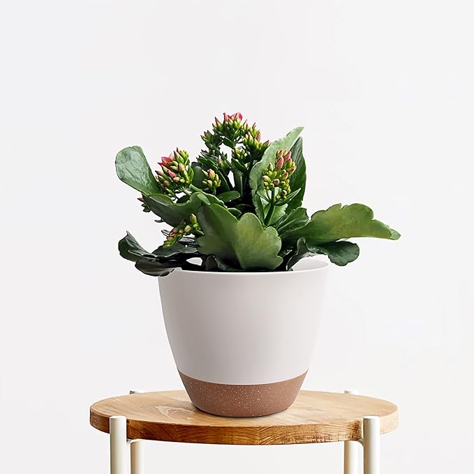 Plant Pots 12/10/9 inch Set of 3, Self Watering Flower Pots Indoor Outdoor, Planters with Drainage Hole Saucer Reservoir, White