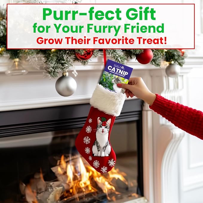 NatureZ Edge Catnip Seeds for Planting, 1700+ Herb Seeds, Indoor or Outdoor Growing, Your Cat Will Love Them, Non-GMO