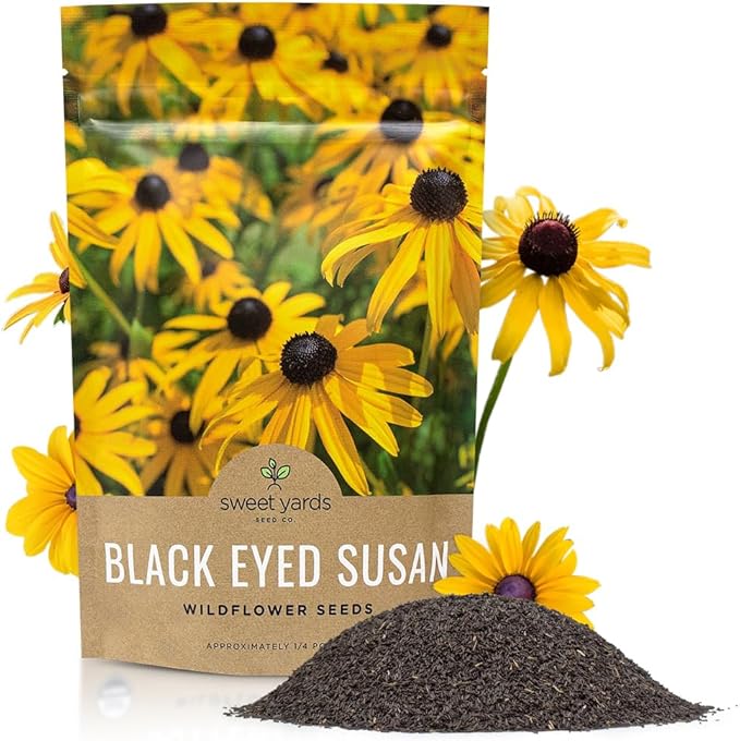 Black Eyed Susan Seeds – Bulk Quarter Pound Bag – Over 400,000 Open Pollinated Non-GMO Wildflower Seeds – Rudbeckia hirta
