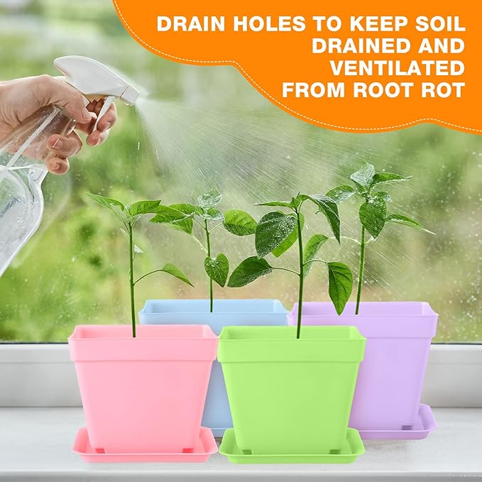 100 Pieces 4 Inch Flower Pots Square Plants Nursery Pot Plastic Plant Seedling Pots Nursery Transplanting Planter Container with Saucer for Indoor Herbs Succulents Balcony Garden Office (Colorful)