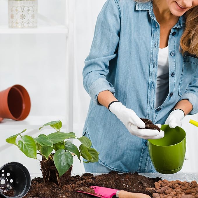 Organic Pothos Soil Mix 4qt, Indoor Plants Potting Mix for All Potted Pothos, Grow Healthy houseplants Indoors