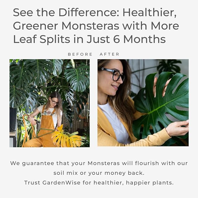 Monstera Potting Soil Mix – Organic, Fast-Draining, Chunky Soil with Coconut Coir & New Zealand Bark for Indoor Plants – Premium Fertilizer for Monstera Deliciosa, Albo & More (3 quarts)