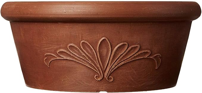PSW Pot TA20TC Collection Shallow Bulb Pan Planter Dish Low Bowl for Succulents, Bonsai, Fairy Gardens, Herbs, 8-inch, Terra Cotta Color