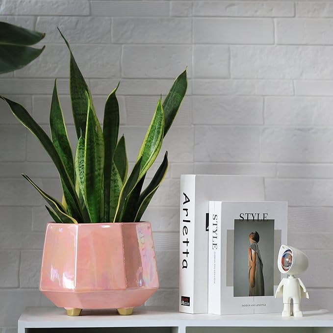 8 Inch Ceramic Planter for Indoor Plants - Plant Pots with Drainage Hole - Modern Minimalist Flower Pot for Succulents and Herbs