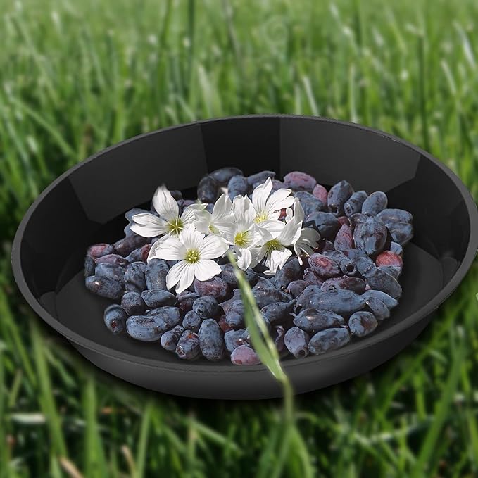 6 Pack Plant Saucer 12 14 16 18 20 22 Inch Plastic Plant Tray, Sturdy and Durable Flower Pot Container Accessories Plant Pot Saucers for Indoor and Outdoor (16 Inch, Black)