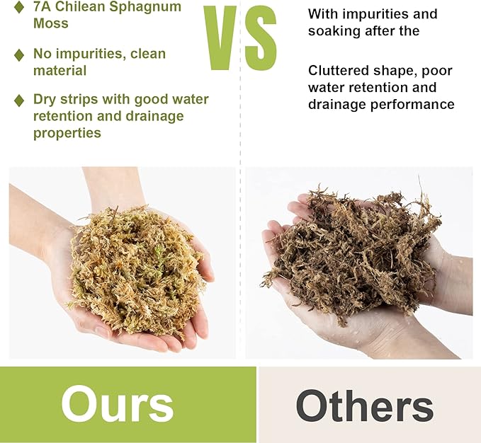 Sukh 20oz Sphagnum Moss for Plants - Sphagnum Peat Moss Natural Long Fibered Dried Moss Potting for Orchids Succulent Carnivorous Potted Plant Reptiles Medium Sarracenia DIY Moss Terrarium Decorations