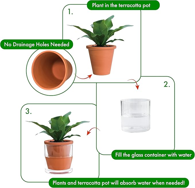 D'vine Dev 4 Inch Design Self Watering Pot for Indoor Plants, Terracotta Planter with Cylinder Glass Cup, Set of 1, 37-X-A-1