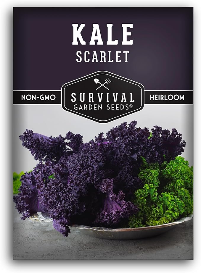 Survival Garden Seeds Scarlet Kale Seeds for Planting – 1 Packet with Instructions to Grow Edible & Ornamental Kale Vegetables in Your Home Food Garden – Non-GMO Heirloom Purple Kale Seeds