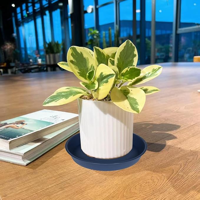 6 Pack of 6 inch Plant Saucer Drainage Tray, 4 5 7 8 10 12 13 15 17 19 inch Plastic Plant Water Tray, Flower Saucers for Indoors, Plant Dishes for Pots Base (6 inch, Blue)