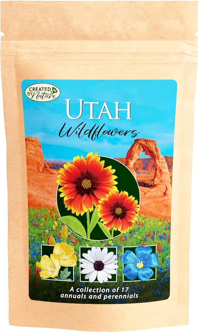Utah Wildflower Seed Mix, Covers 325 Sq Ft, 17 Flower Varieties, Over 53,000 Seeds - Created By Nature