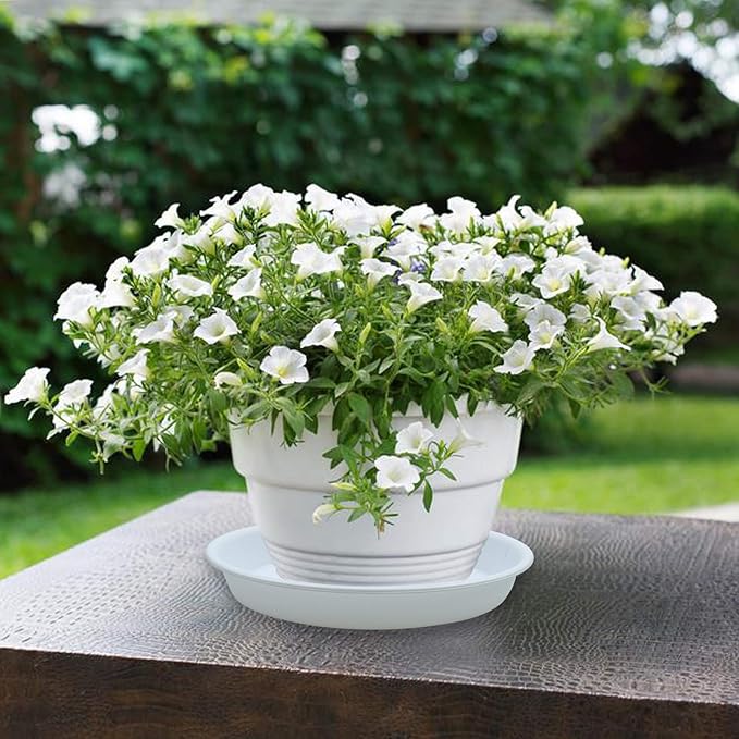 3 Pack Plant Saucer Heavy Duty Sturdy Drip Trays for Indoor and Outdoor (14 Inch, White)