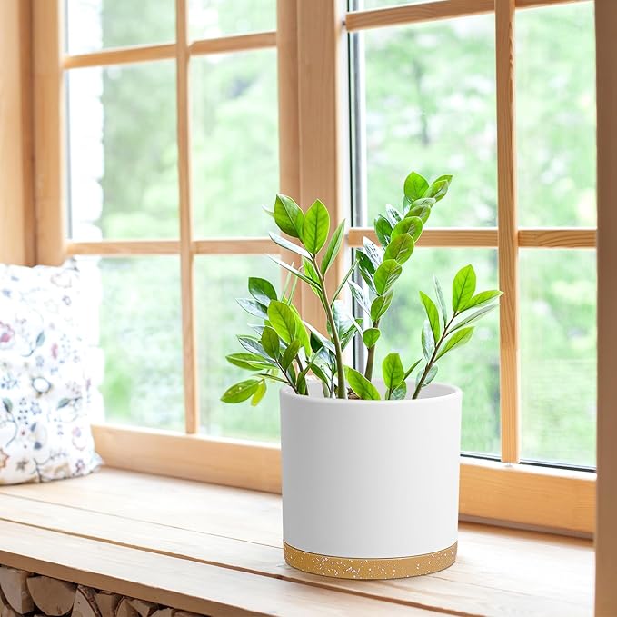 8 Inch Cylinder Flower Pots for Indoor Outdoor Plants, Medium Deep Plant Pots with Drainage Holes & Saucer, Decorative Plastic Planter Pots for Garden House Plants, White with Brown