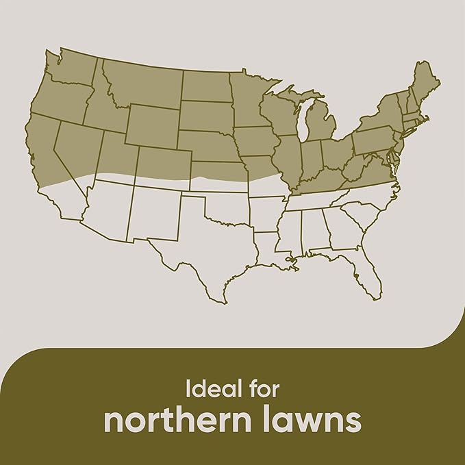 Scotts Pursue Sheep Fescue with Natural Seed, Seeding for Large Areas, 2 lbs.