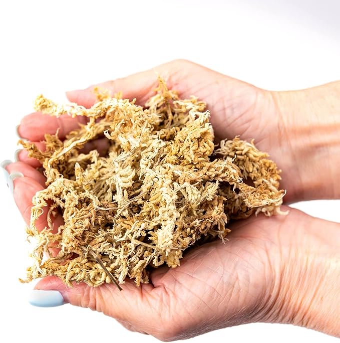 Premium New Zealand Sphagnum Moss by Gardenera - Organic Hand Mixed Long Fibered Sphagnum Moss Orchid - 5 Quart