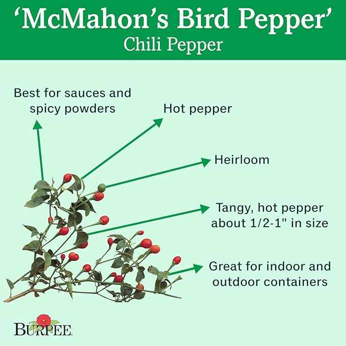 Burpee McMahon's Bird Pepper Hot Pepper Seeds 30 seeds