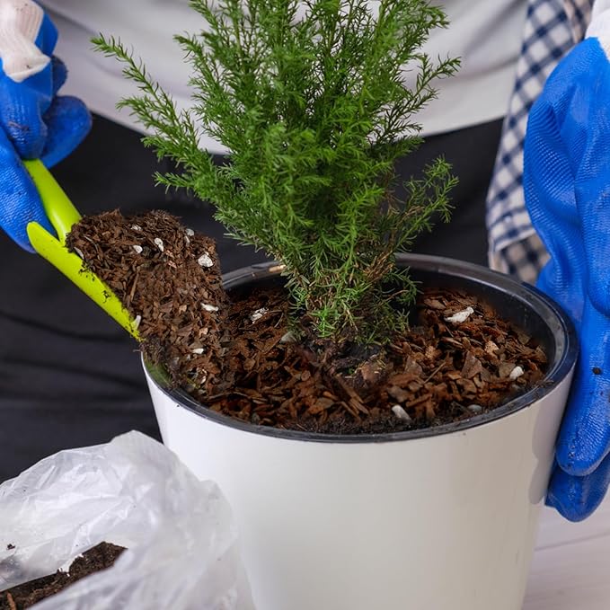 Bonsai Soil Mix Ready to Use (1qt), Premium Fast Draining Organic All Purpose Potting Mix for All Varieties of Bonsai