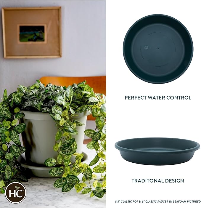 The HC Companies 10 Inch Round Plastic Classic Plant Saucer - Indoor Outdoor Plant Trays for Pots - 10.75"x10.75"x1.75" Evergreen