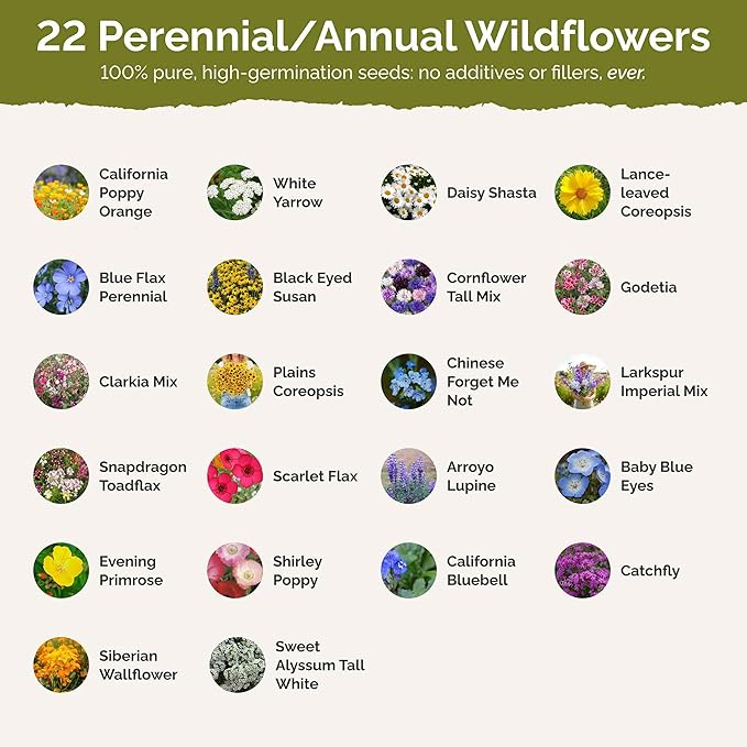 Eden Brothers California Wildflower Mixed Seeds for Planting, 25 lb, 12,000,000+ Seeds with Black Eyed Susan, Shasta Daisy, Attracts Pollinators, Plant in Spring or Fall, Zones 3, 4, 5, 6, 7, 8, 9, 10