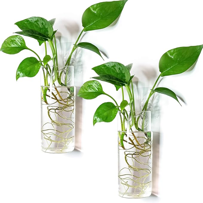 Kingbuy Glass Planter Terrarium Plant Propagation Station Wall Hanging for Home Office Decor, Medium Cylinder, 2 Pack