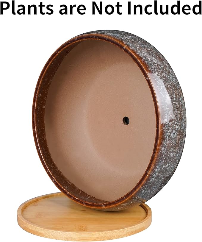 8 Inch Ceramic Bonsai Planter Pot, Glazed Shallow Succulent Planter with Drainage Hole and Bamboo Saucer for Indoor Plants, Brown