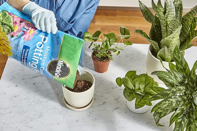 Miracle-Gro Moisture Control Potting Mix and Water Soluble All Purpose Bundle of Soil (8 qt.) and Plant Food (1.5 lb.) for Plants & Flowers Grown in Containers
