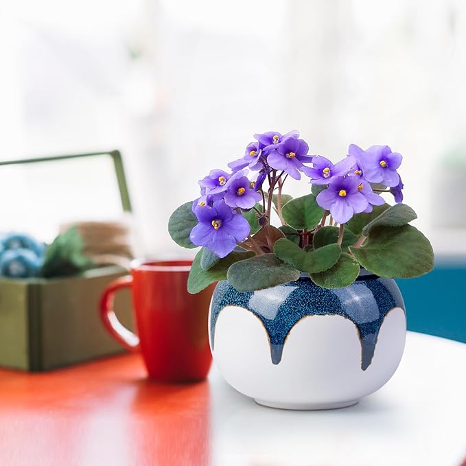African Violet Pots, 6 Inch Self Watering Pots for Indoor Plants,Easy Plant Self Watering Planter, Ceramic Plant Pot with Absorbent Inner Pot for Flowers - Gradient Blue