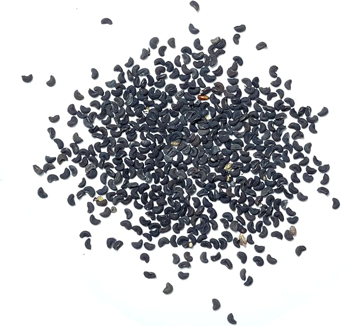 Seed Needs Rue Seeds for Planting - Non-GMO, Heirloom & Untreated Perennial Herbs - Organically Grow a Home Grown Medicinal Herb Garden Indoors or Outdoors (5 Packs)