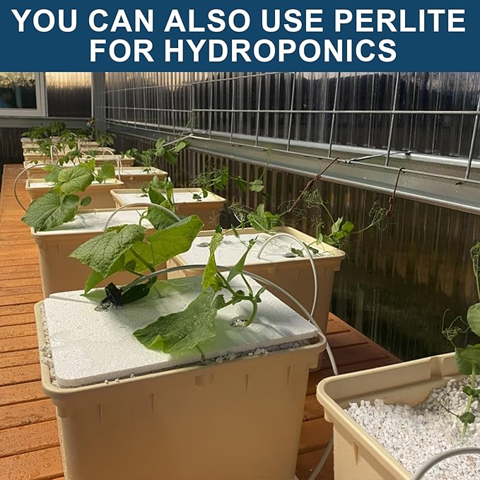 Horticultural Perlite for Plants 1qt, Chunky Perlite Bulk for Gardening, Soil Amendments to Improve Soil Aeration & Dranage for Houseplant