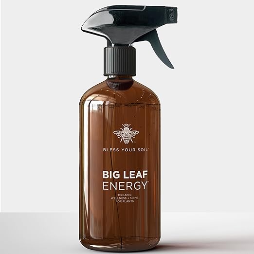 Big Leaf Energy : RTU Wellness Spray for Indoor Plants : Organic Neem Oil + Essential Oils (16OZ, Glass Bottle)