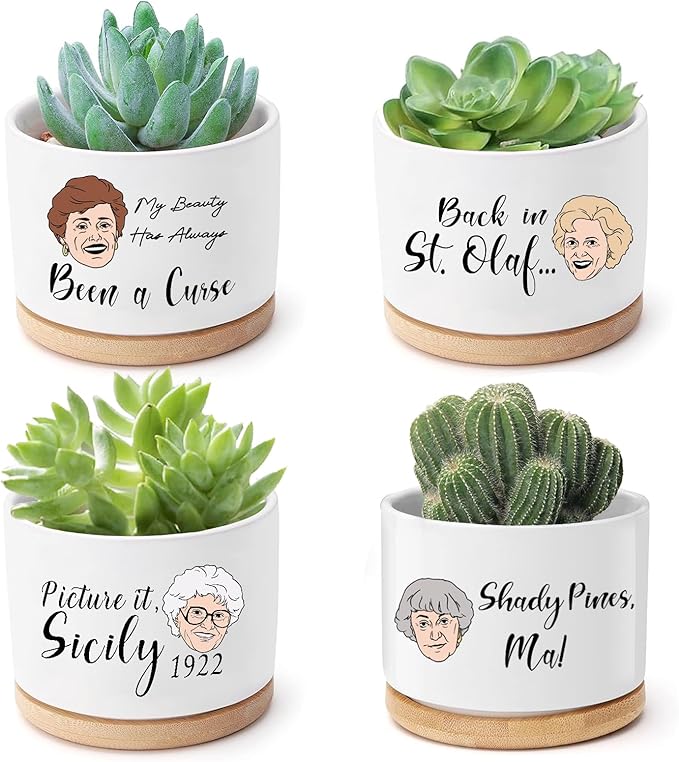 Funny Succulent Pots Set of 4 - Golden Inspired Merchandise Ceramic Mini Plant Pot with Bamboo Tray, Cute Planter for Indoor Decorations, Gifts for Women