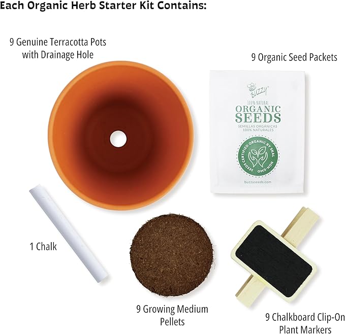 Buzzy 9 Large Terracotta Pot Organic Herb Garden Gift Box, Best Present for Gardeners - Mother's Day or Easter Plant Gift for Mom - Rosemary, Basil and Other Seeds Included in The Indoor Planter kit.