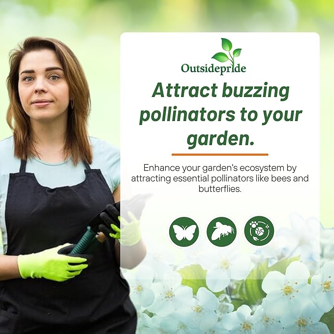 Outsidepride 1/4 lb. Annual Eschscholzia California Poppy White Linen Wild Flower Seeds