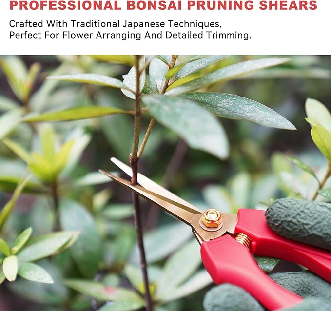 FLORA GUARD Professional bonsai Pruning shear set, long blade pruning scissors and scimitar tip pruning scissors, gold plated titanium flower scissors set, suitable for indoor plants, bonsai