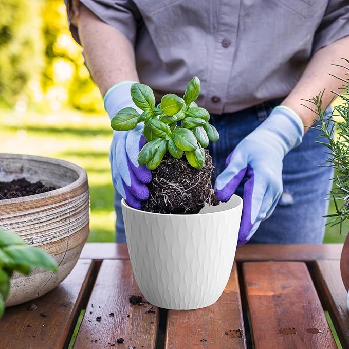 6 inch Flower Pots, 5 Pack Plant Pots with Drainage Holes and Saucers for Indoor Plants, Plastic Planters with Water Ripple for Small Garden House Plants, Nursery Pots for Succulent, White