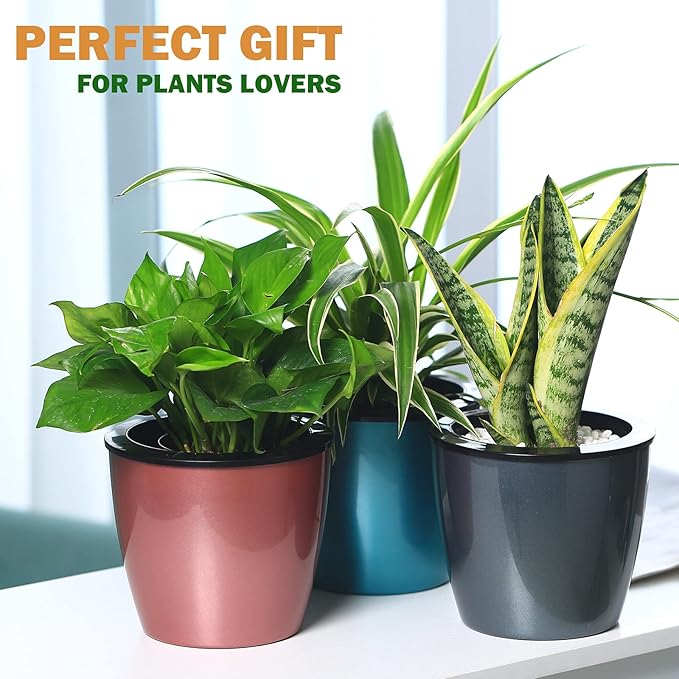 Planterhoma 6.7 Inch Self Watering Pots for Indoor Plants, 6 Packs African Violet Pots with Black Wick Pots, Self Watering Planters for Devil's Ivy, Indoor Plant Pots, Silver/Blue/Rose Gold