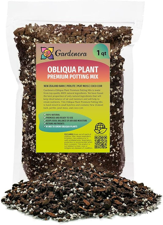 Premium Monstera Obliqua Potting Mix - Expertly Crafted for Healthy Growth - 1 Quart