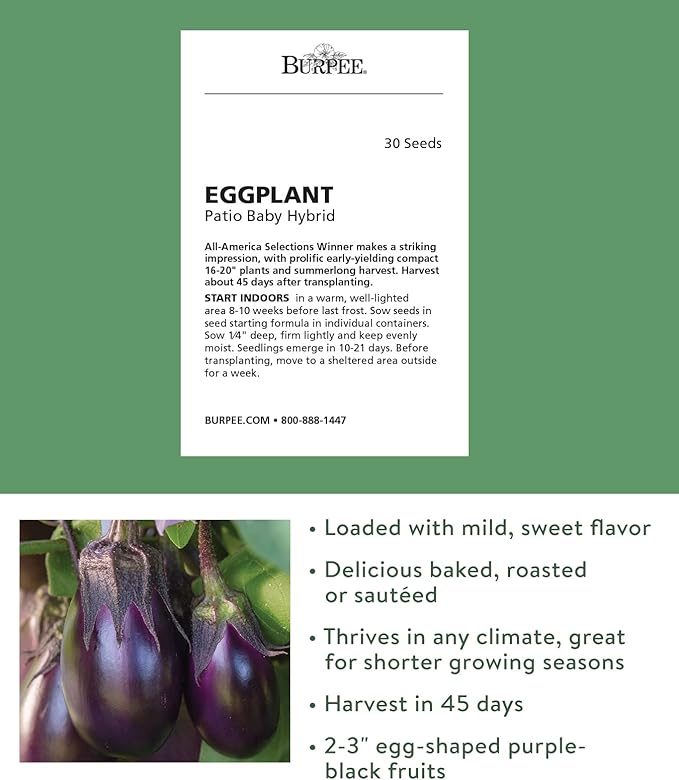 Burpee Patio Baby Eggplant Seeds 30 seeds
