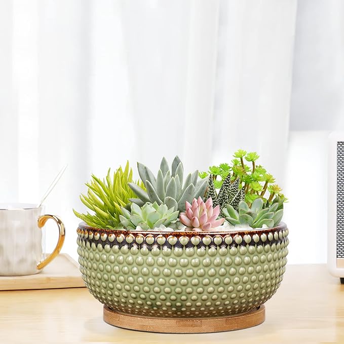 8 Inch Ceramic Succulent Shallow Planter Pot with Drainage Hole and Saucer Beaded Stoneware Planter for Indoor Plants Green