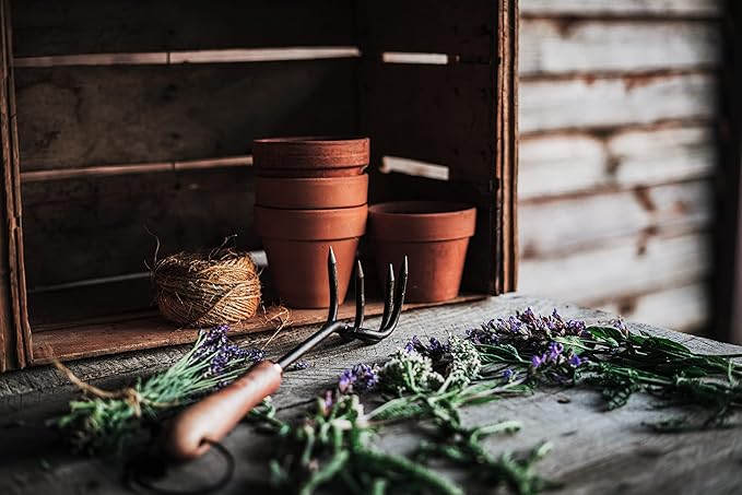 Barebones Cultivator - Weed Remover Tool - Garden Rake and Weeding Tool for Yard Work - Stainless Steel Cultivator for Raking Soil (Walnut/Black)